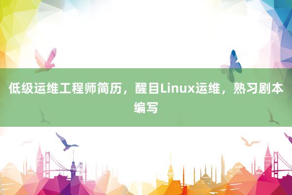低级运维工程师简历，醒目Linux运维，熟习剧本编写