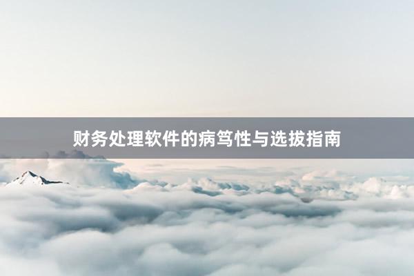财务处理软件的病笃性与选拔指南