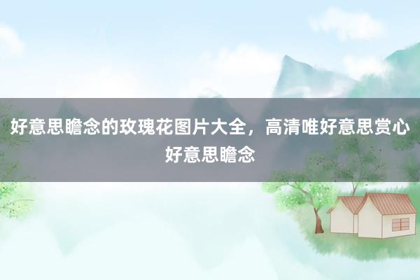 好意思瞻念的玫瑰花图片大全，高清唯好意思赏心好意思瞻念